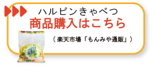 ハルピンきゃべつ　販売　ゴルフ　注文