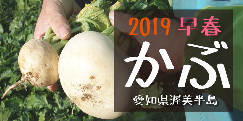 産地のふるさと便り　2019かぶ2