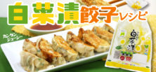 白菜漬 アレンジ餃子