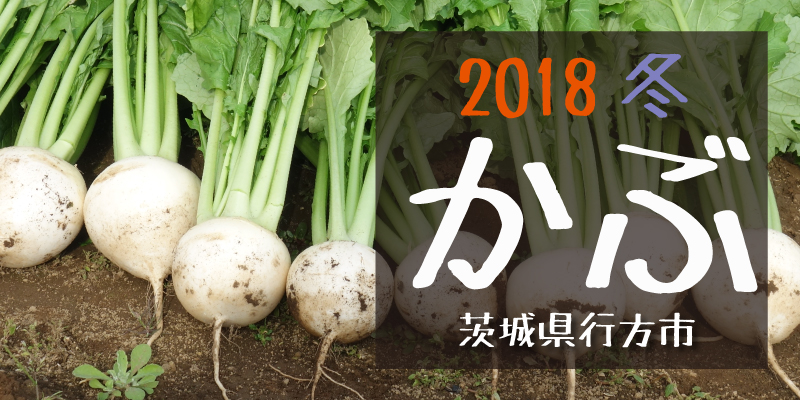 産地のふるさと便り　2018かぶ