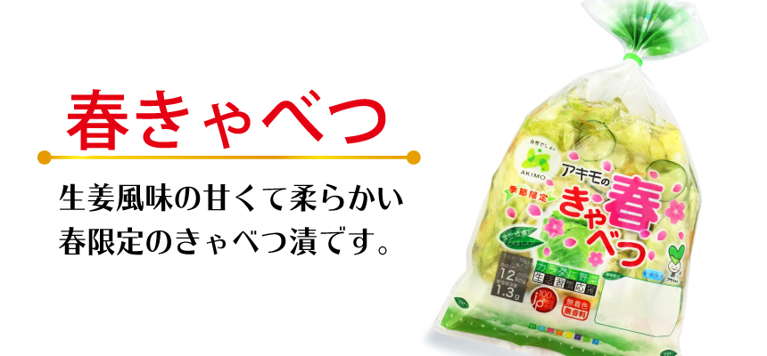 春きゃべつ