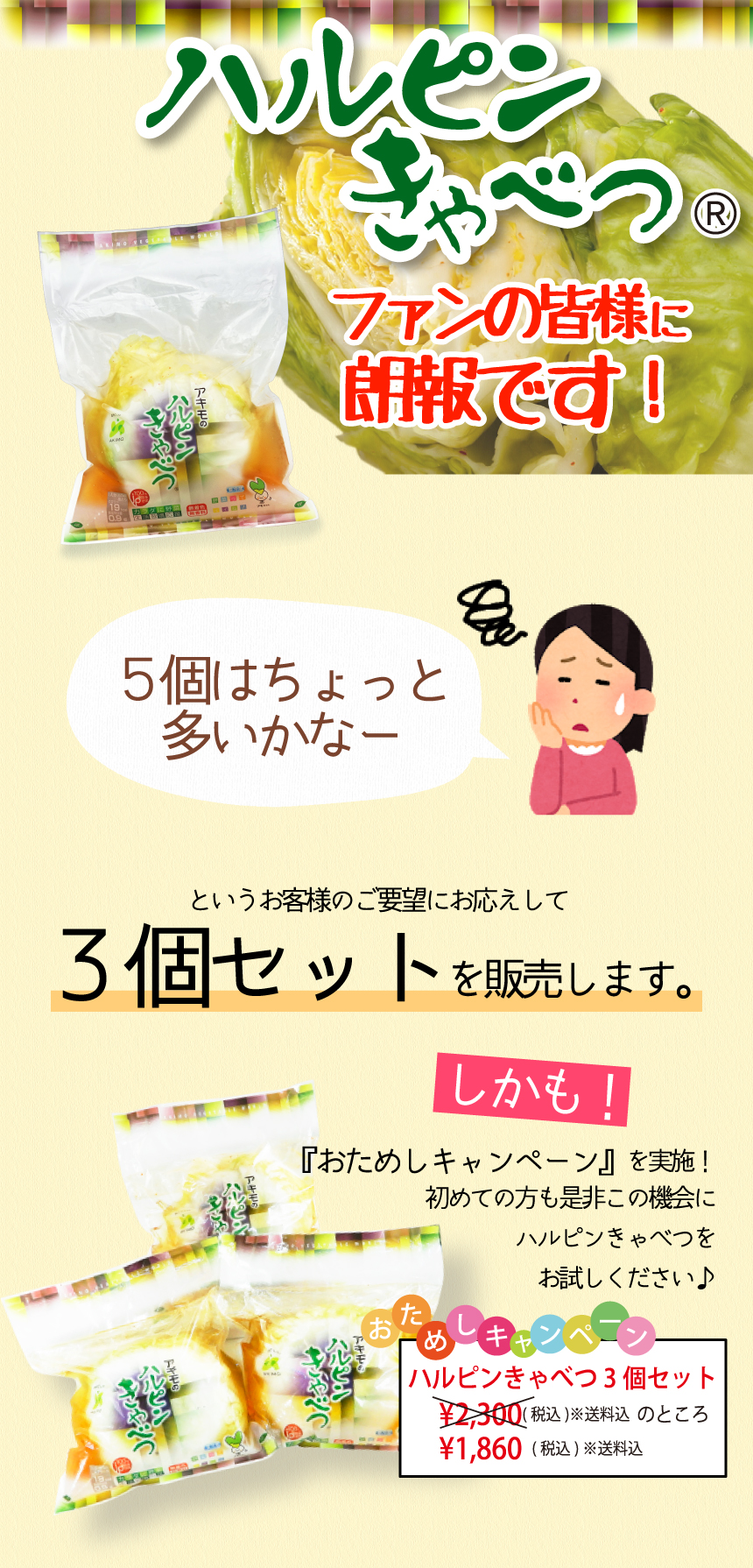 ハルピンきゃべつ3個セット