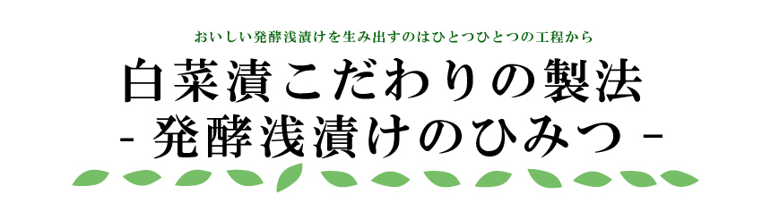 アキモの発酵　発酵　野菜　漬物　浅漬　白菜漬