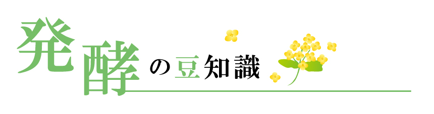 アキモの発酵豆知識