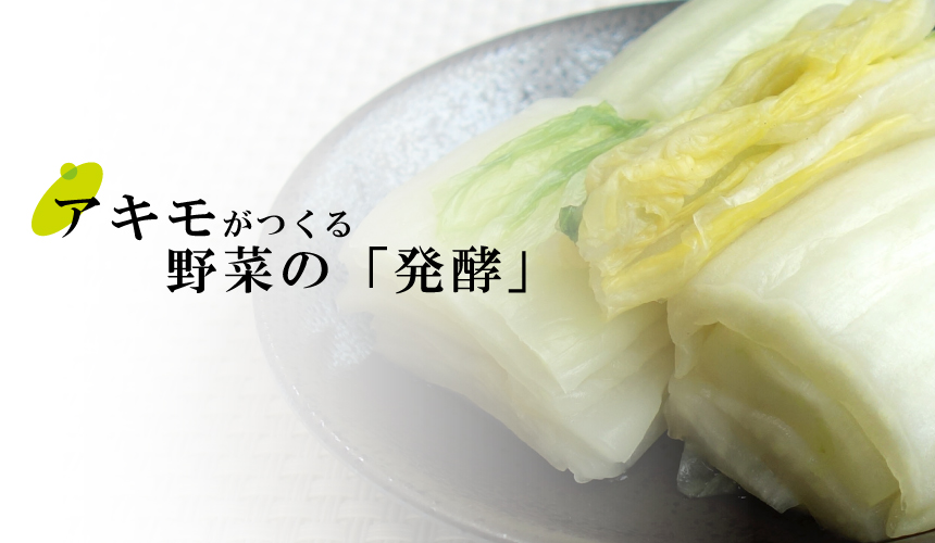 発酵　野菜　漬物　浅漬　白菜