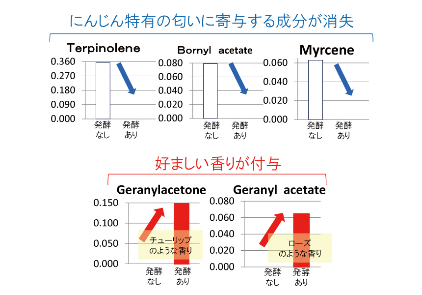 乳酸発酵野菜