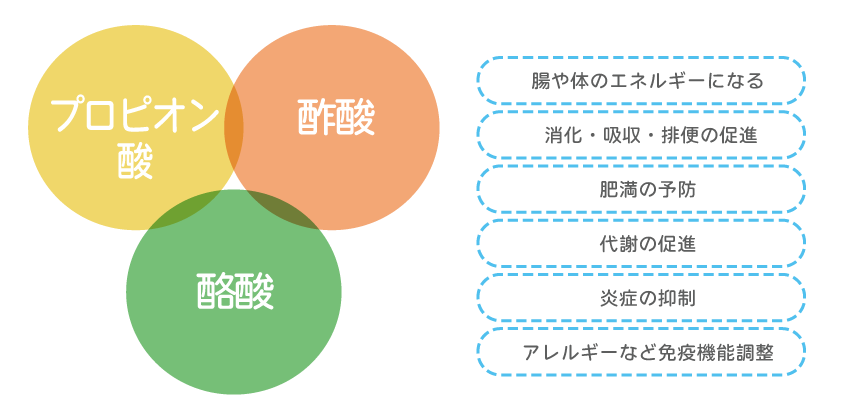 腸活9