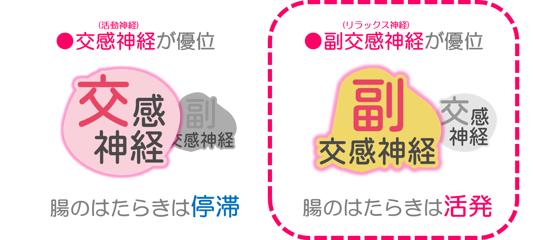 腸活　図4