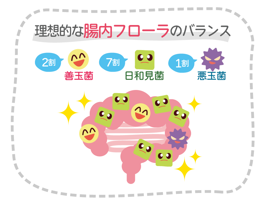 腸活2