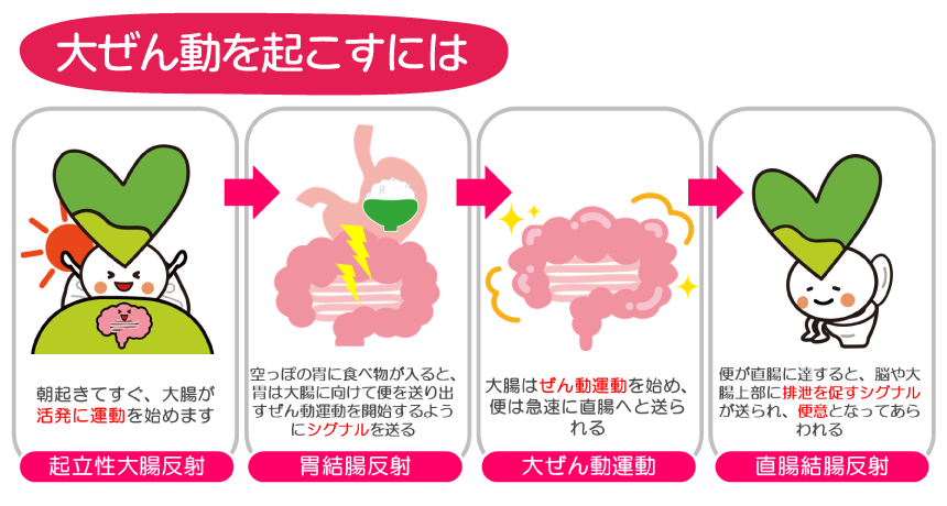 腸活12