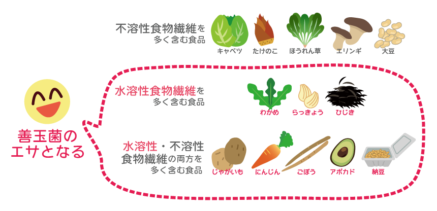 腸活8