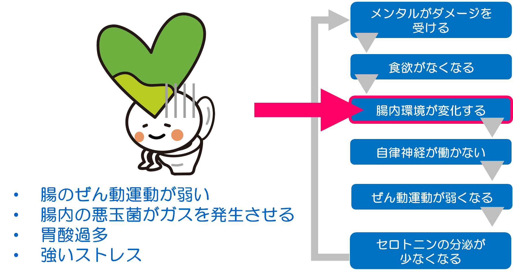 腸活　図3
