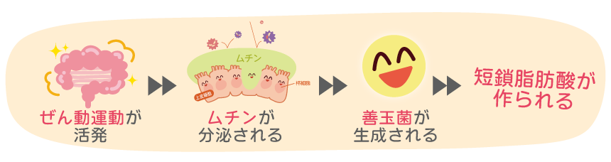 腸活7
