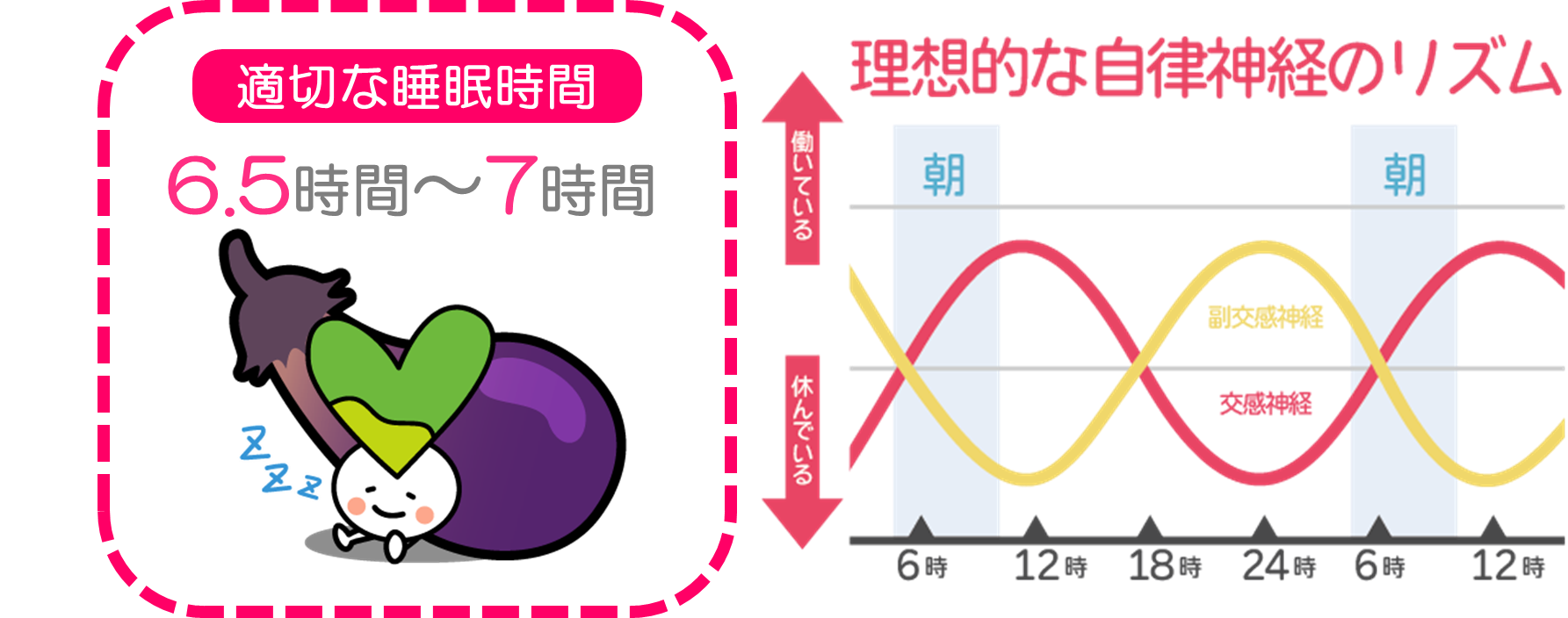 腸活　図7