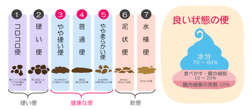 腸活5